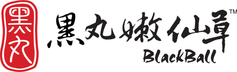 黑丸嫩仙草logo